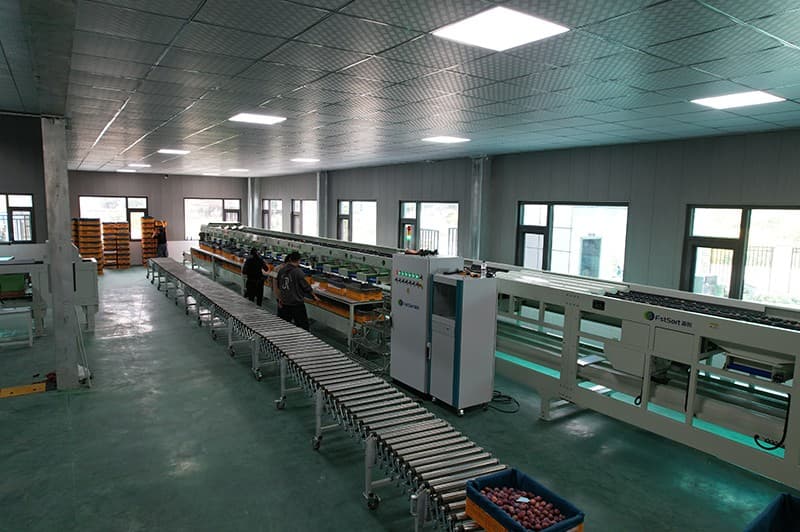 images/1665390315751plum grading machine.jpg